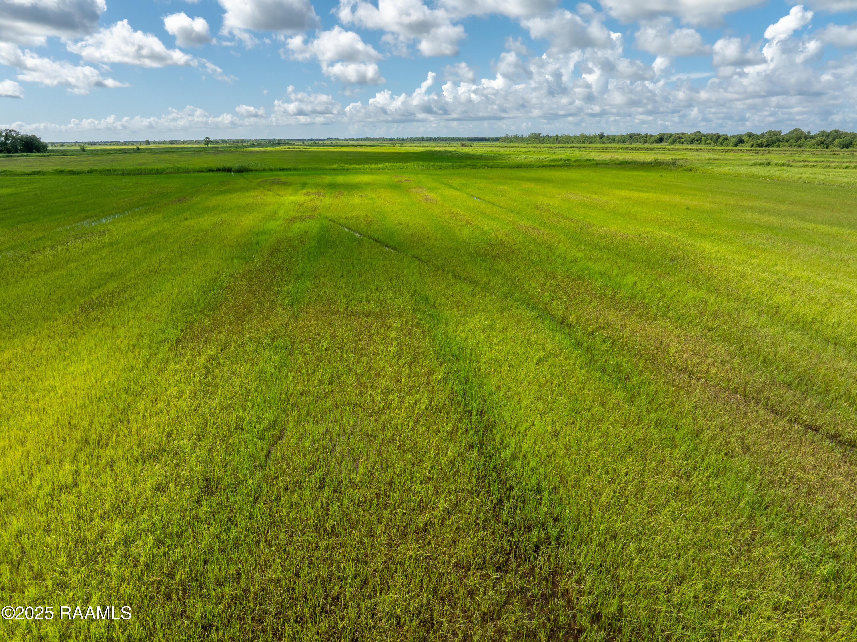 21737 Keno Road Abbeville, LA 70510 - Photo 48 of 60 ForkedIslandAerials-25