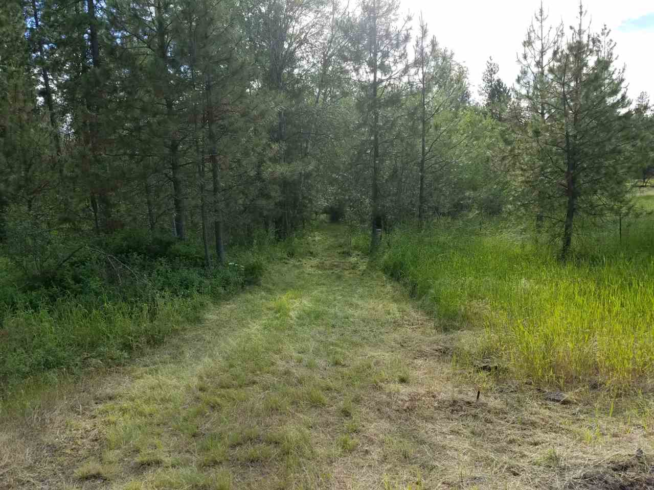 1210 South Cheney Spokane Road Cheney, WA 99004 - Photo 2 of 4