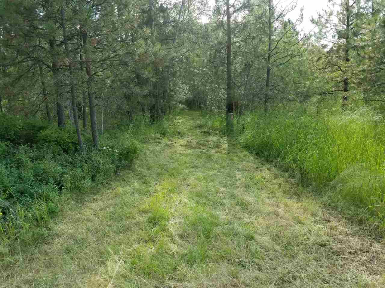 1210 South Cheney Spokane Road Cheney, WA 99004 - Photo 4 of 4