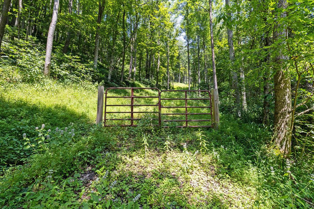 24272 Conrad Road Laurelville, OH 43135 - Photo 21 of 32 21-Gate View-2