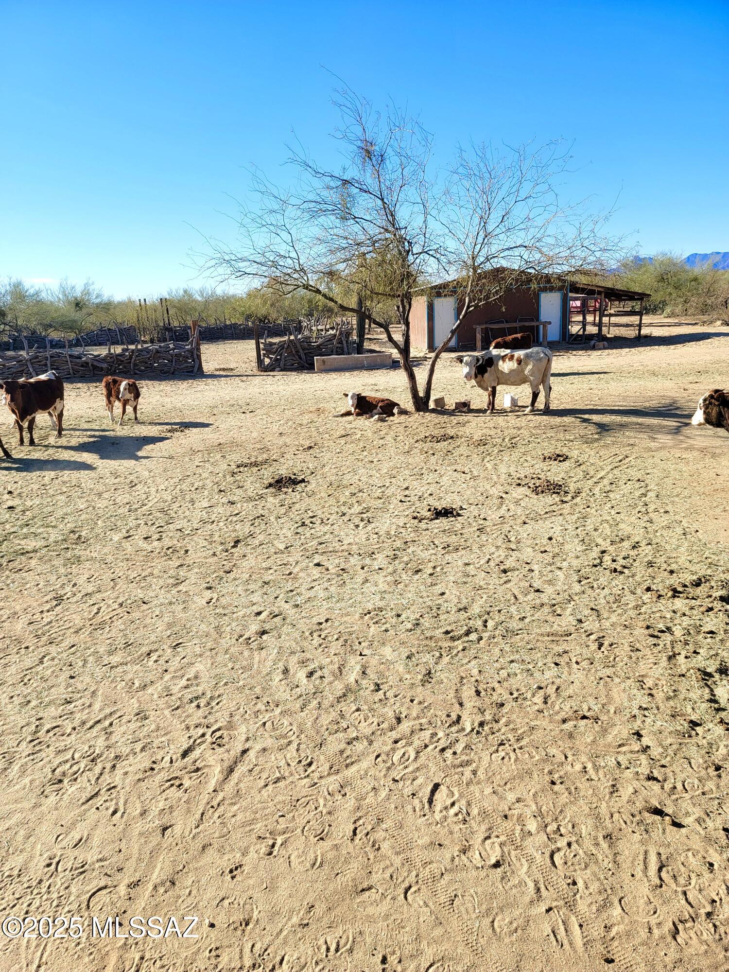 13325 South Coleman Road Tucson, AZ 85735 - Photo 41 of 48