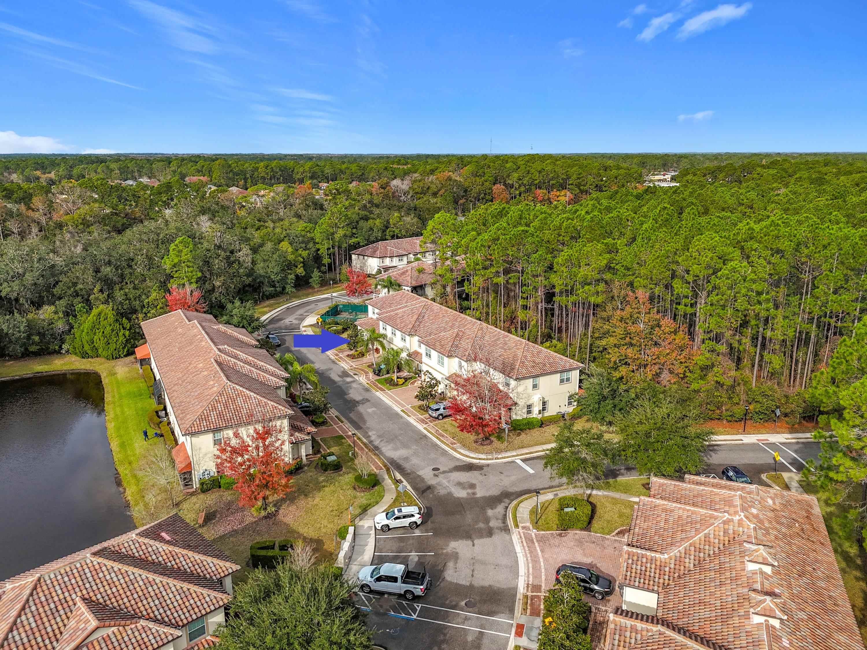 130 Grand Ravine Drive St. Augustine, FL 32086 - Photo 35 of 42 Bird's eye view of a forest