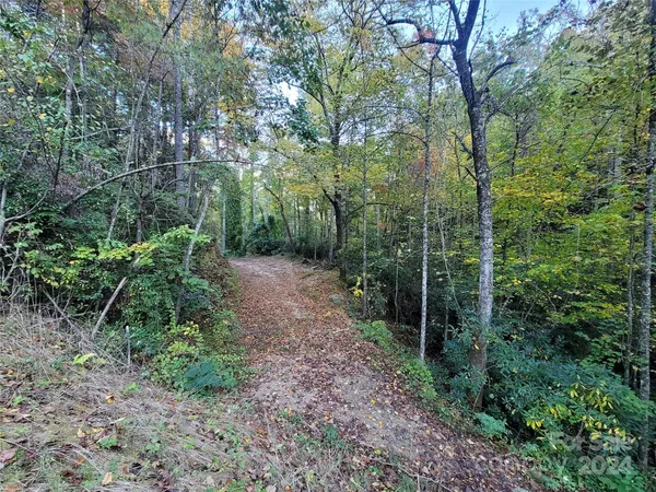 a view of a yard and trees