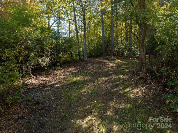 a view of outdoor space and trees