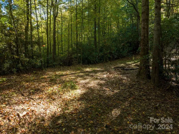a view of outdoor space and covered with trees