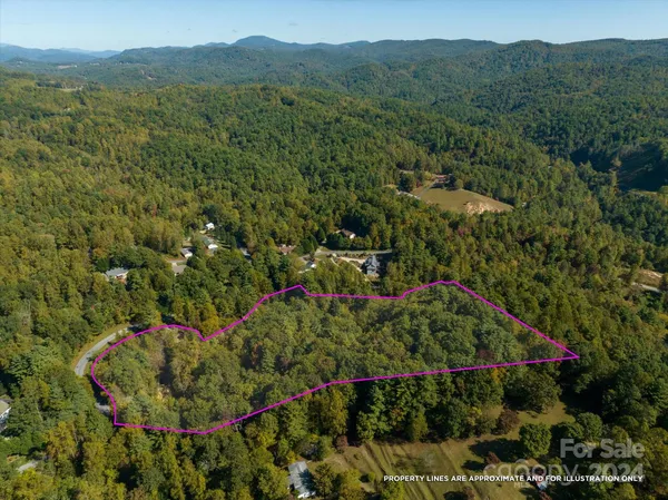 a view of a city with lush green forest