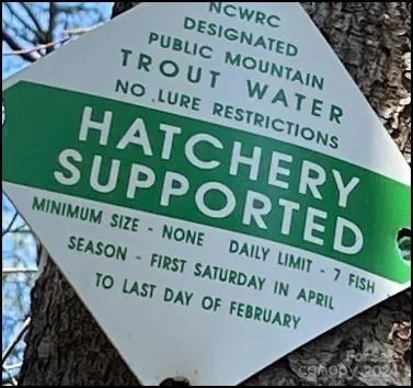 a picture of a tree in a yard