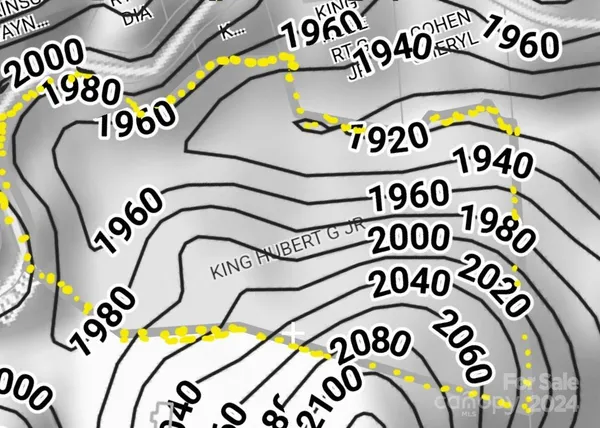 a view of a yard with plants and large trees