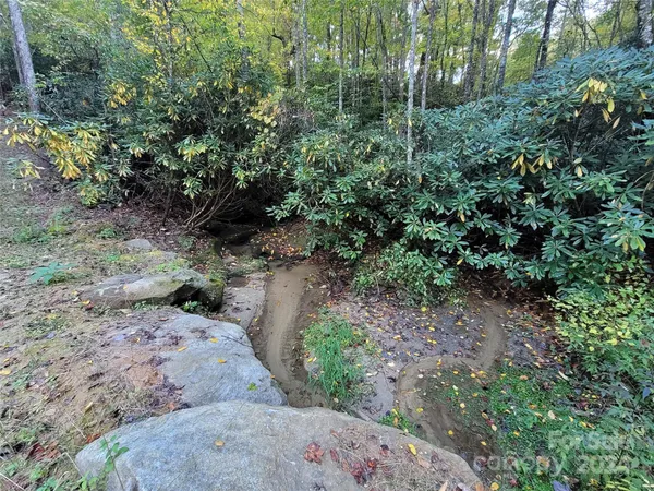 a view of a road with plants and trees