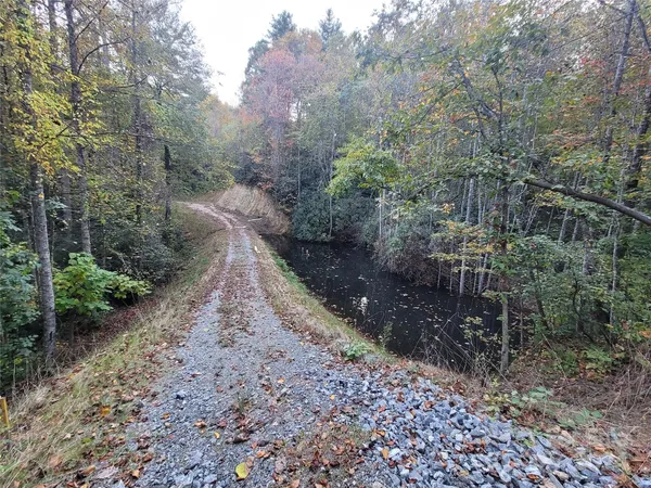 a view of a garden with trees