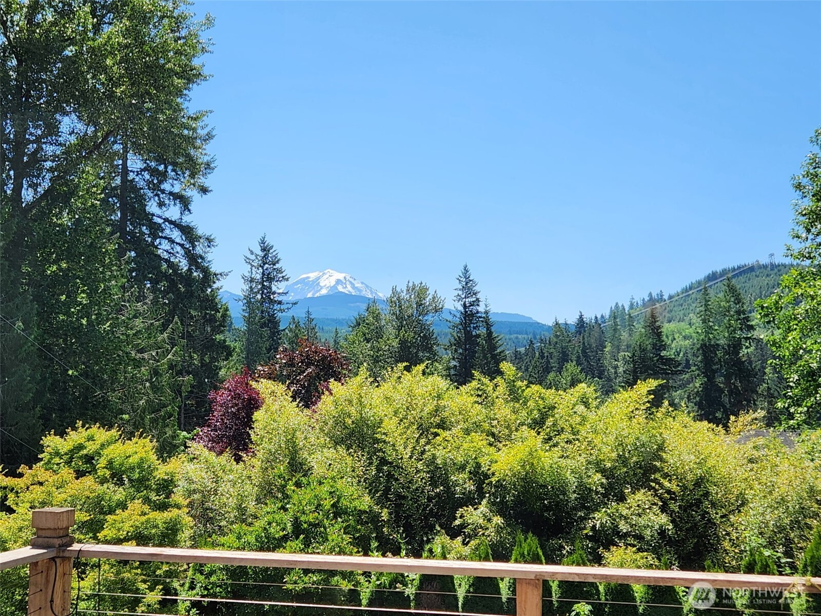 13402 Spiketon Road Buckley, WA 98321 - Photo 2 of 35 a view of a yard with large trees