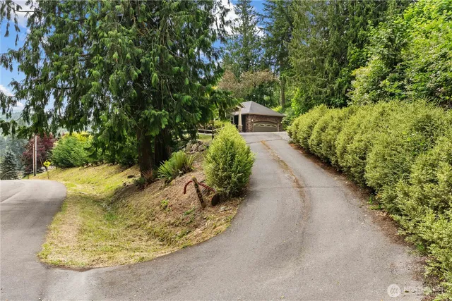 a view of a garden with large trees