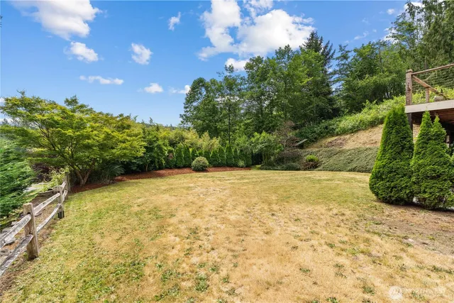 a view of a yard with plants and trees