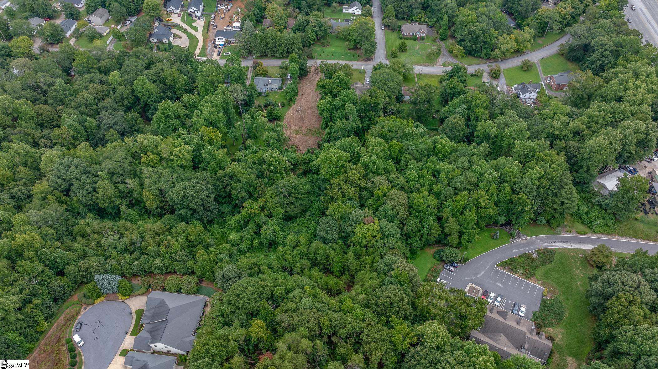 0 Pine Street Extension Greer, SC 29651 - Photo 8 of 8