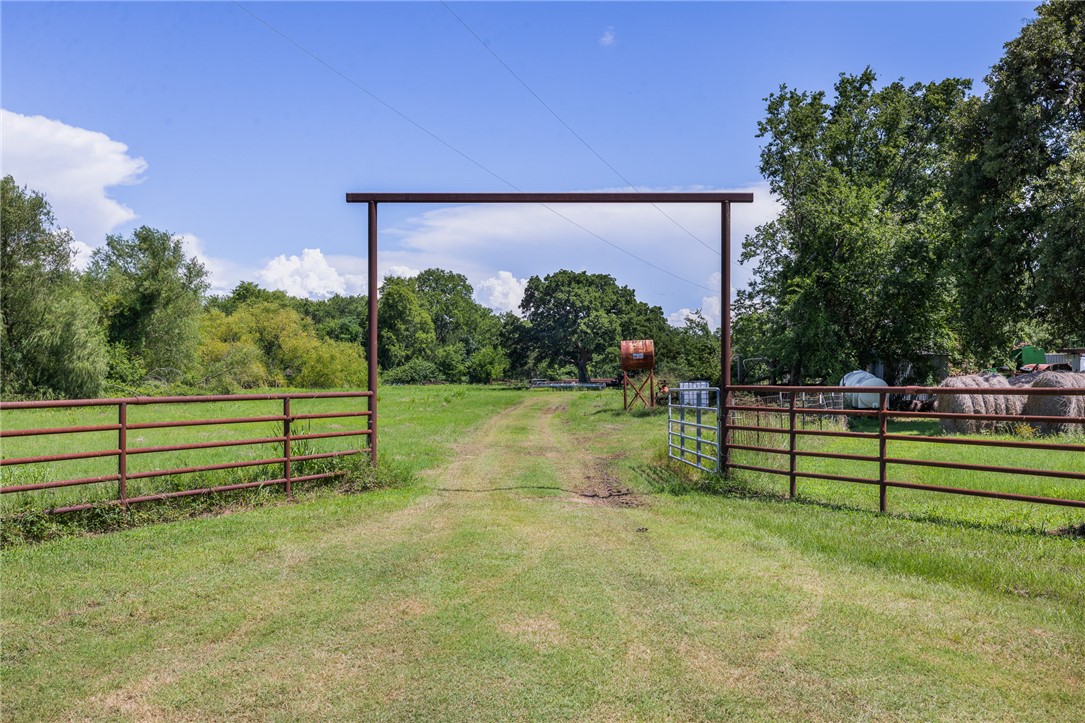 4450 Greenbriar Road Madisonville, TX 77864 - Photo 20 of 27 a view of a yard with wooden fence