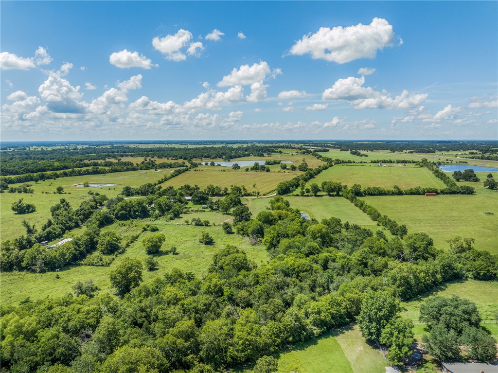 4450 Greenbriar Road Madisonville, TX 77864 - Photo 25 of 27 a view of a city