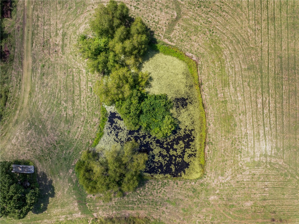 4450 Greenbriar Road Madisonville, TX 77864 - Photo 26 of 27 a view of a garden