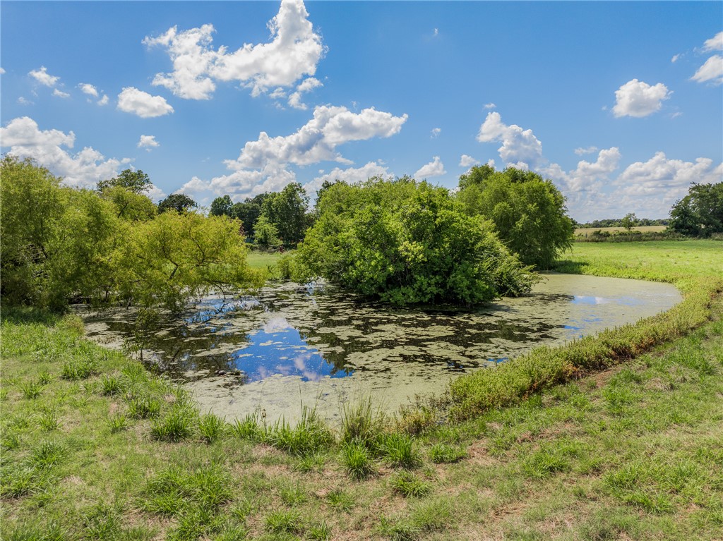 4450 Greenbriar Road Madisonville, TX 77864 - Photo 27 of 27 a view of a yard
