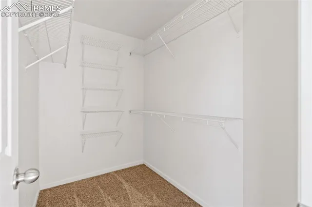 a view of a room with shelf