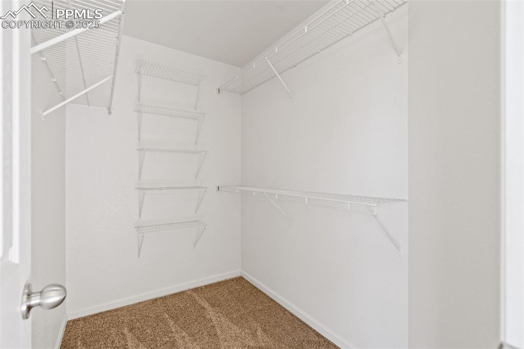 1243 Timber Run Heights Monument, CO 80132 - Photo 18 of 34 a view of a room with shelf