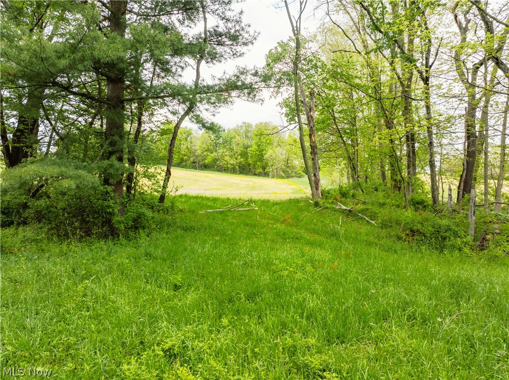Garver Road Mansfield, OH 44903 - Photo 25 of 48