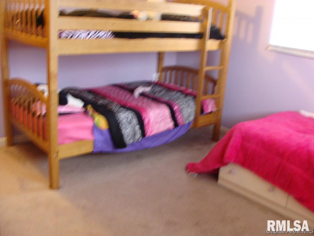 1107 Rutledge Street Pawnee, IL 62558 - Photo 13 of 18 Gallery Image 13