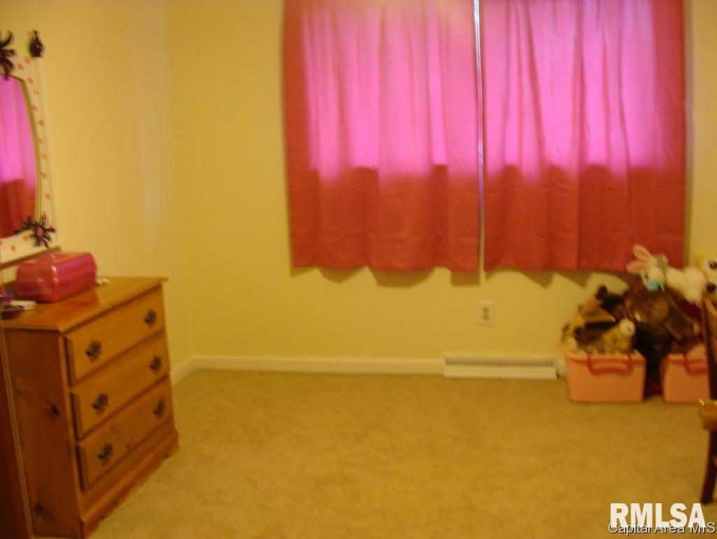 1107 Rutledge Street Pawnee, IL 62558 - Photo 14 of 18 Gallery Image 14