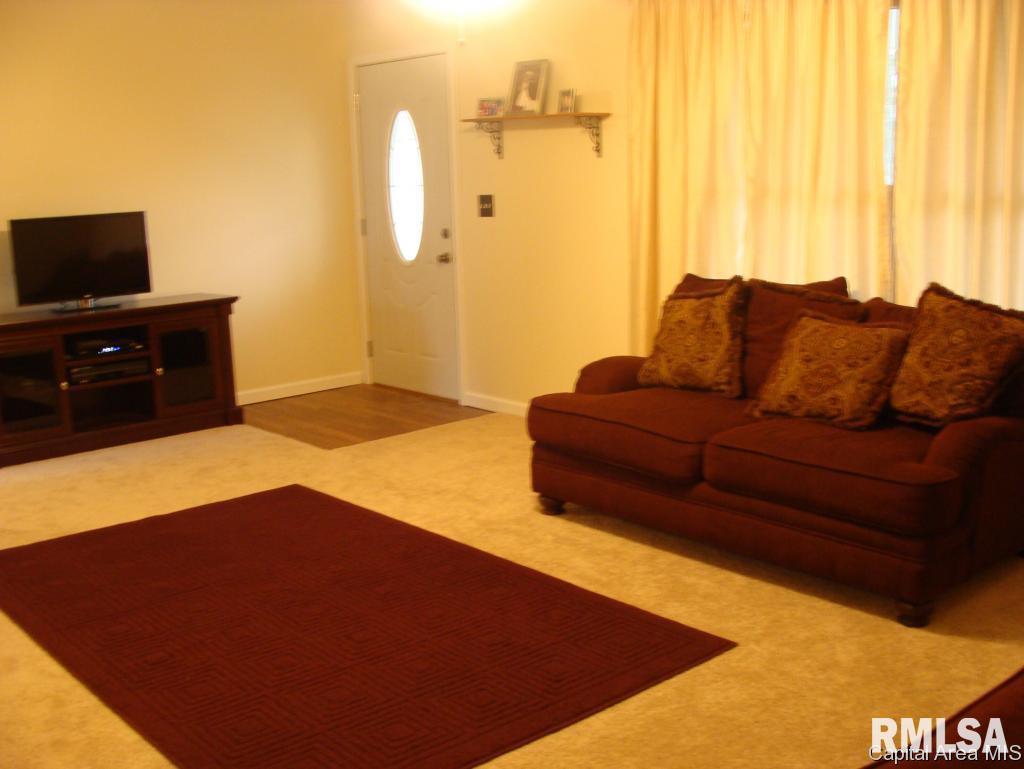 1107 Rutledge Street Pawnee, IL 62558 - Photo 4 of 18 Gallery Image 4