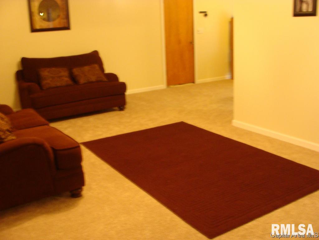 1107 Rutledge Street Pawnee, IL 62558 - Photo 5 of 18 Gallery Image 5