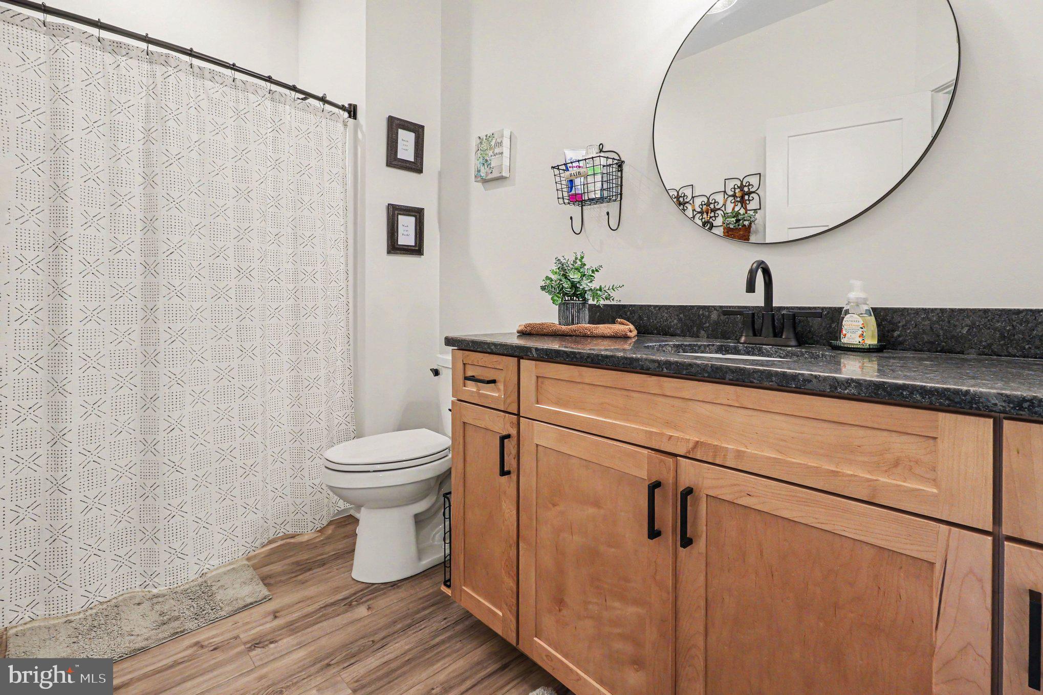 1685 Chopping Road Mineral, VA 23117 - Photo 28 of 34 Modern bathroom with elegant finishes.