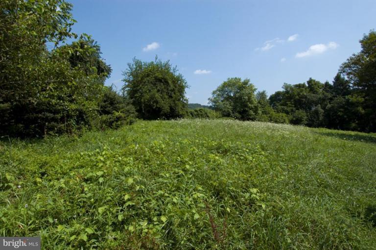 526 Belfast Road Sparks, MD 21152 - Photo 5 of 7 a view of a lush green space