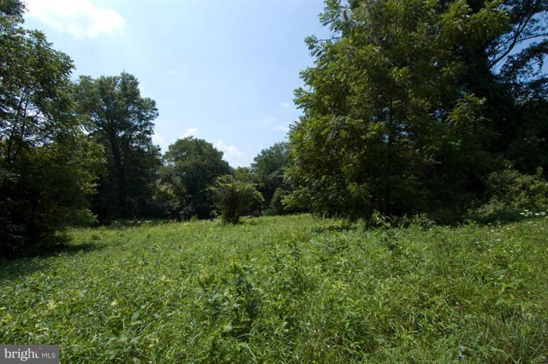 526 Belfast Road Sparks, MD 21152 - Photo 6 of 7 a view of a lush green space