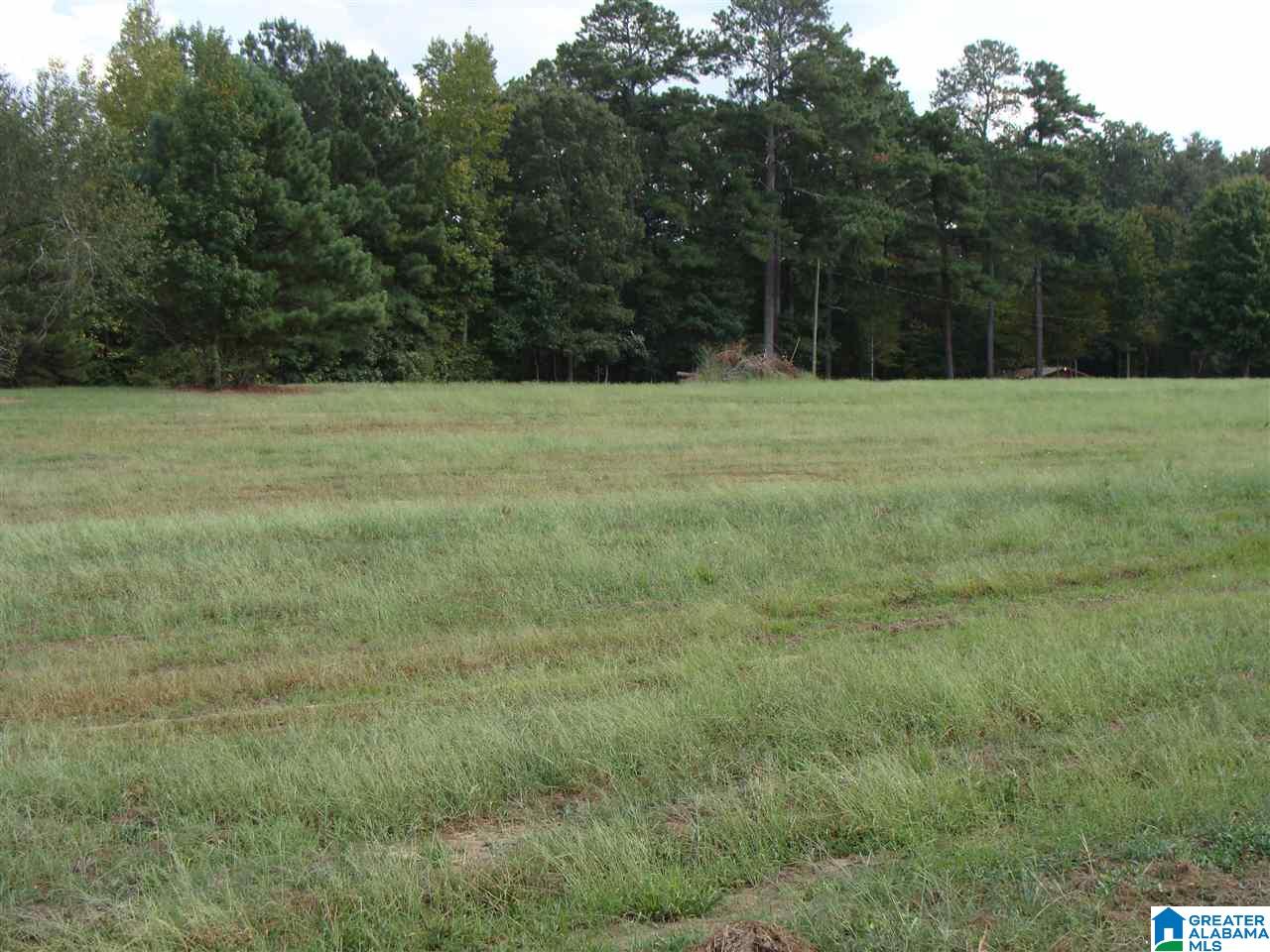 9385 Miller Road, Unit 1 Warrior, AL 35180 - Photo 1 of 5