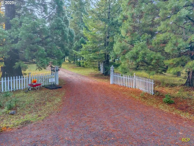 a view of a street with a trees in the background