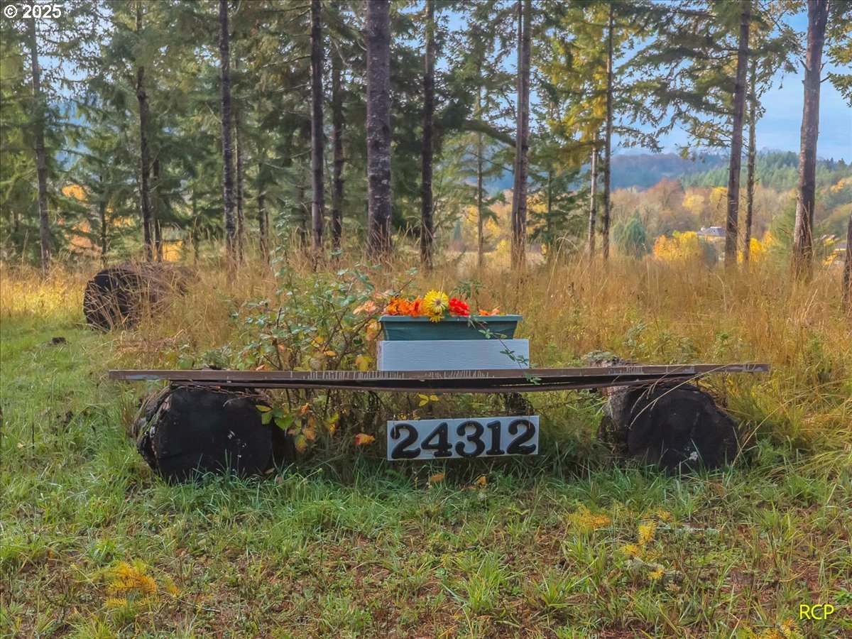 24312 Cardwell Hill Drive Philomath, OR 97370 - Photo 4 of 48 a view of swimming pool with a yard