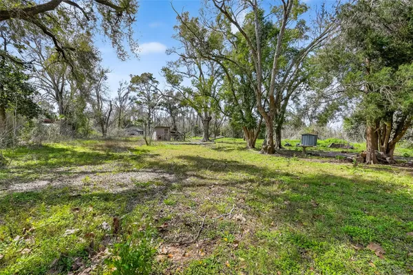 a view of a green field with trees