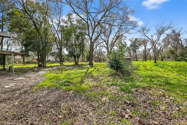 a view of a green field with trees