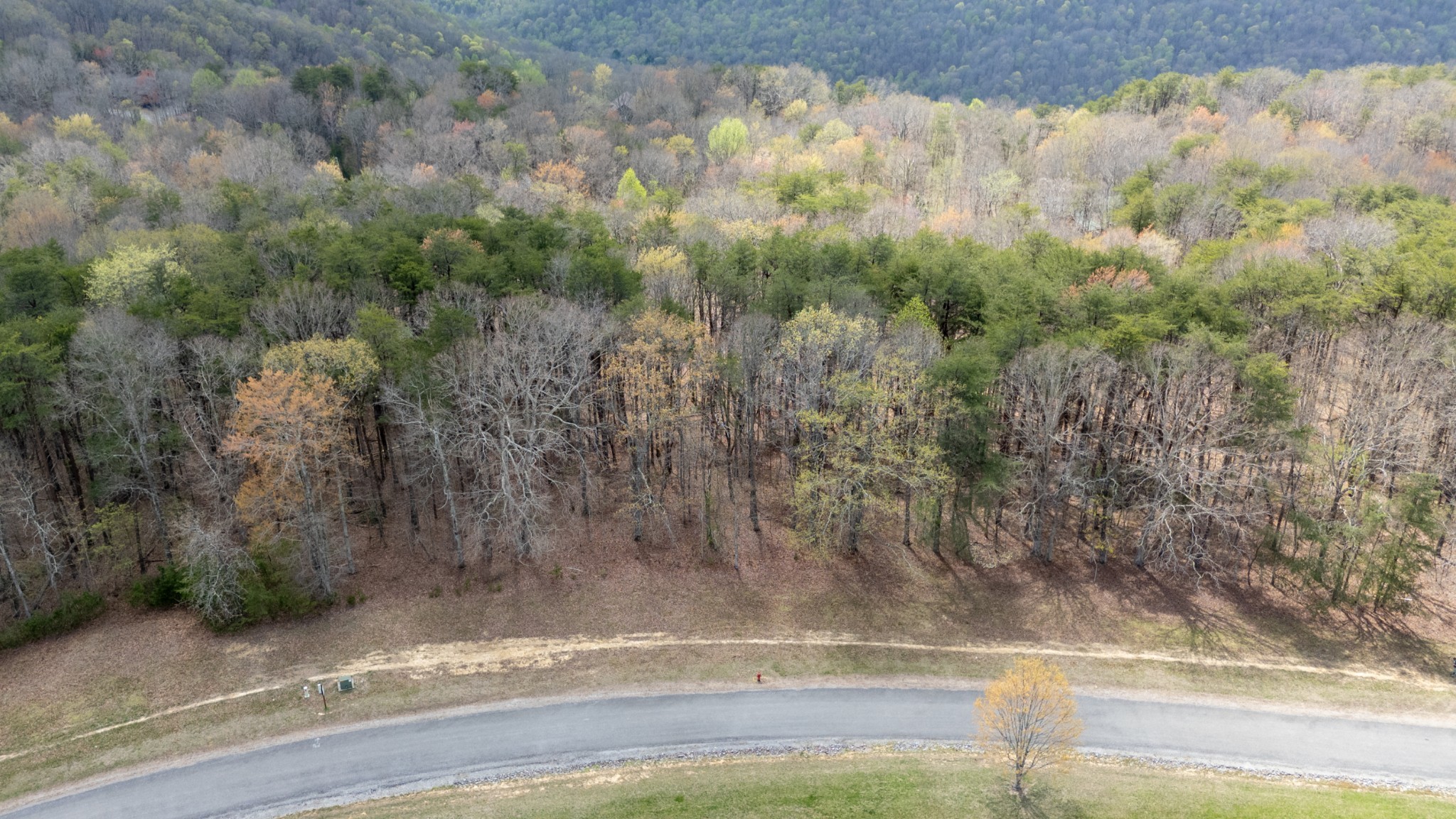 0 High Meadow Spencer, TN 38585 - Photo 13 of 17 a view of a yard from a balcony
