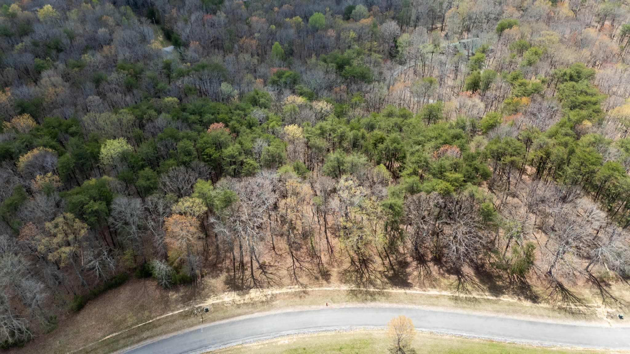 0 High Meadow Spencer, TN 38585 - Photo 14 of 17 a view of a yard and a road