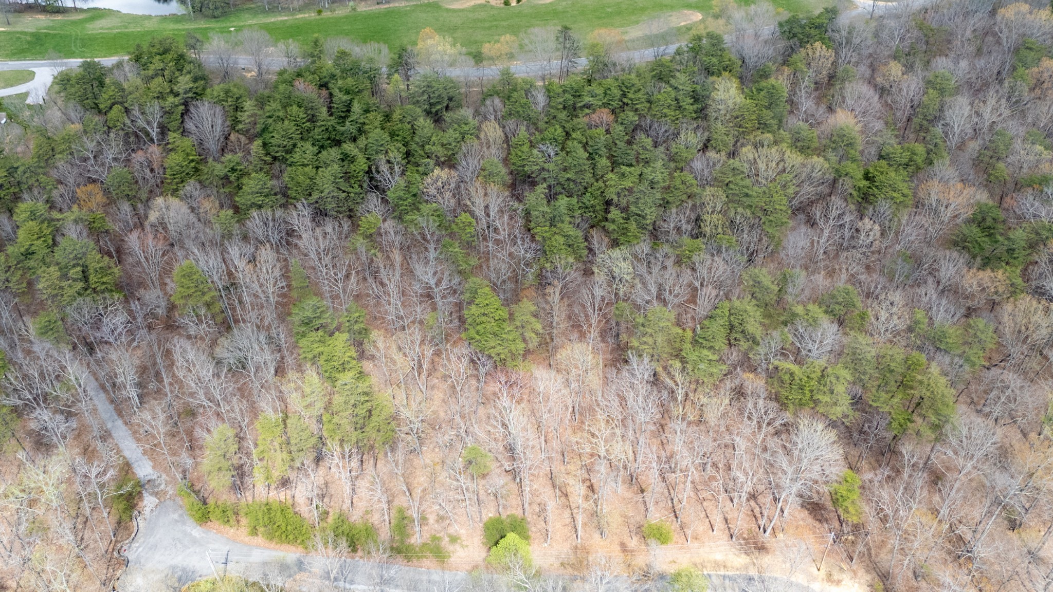 0 High Meadow Spencer, TN 38585 - Photo 15 of 17 a view of a yard