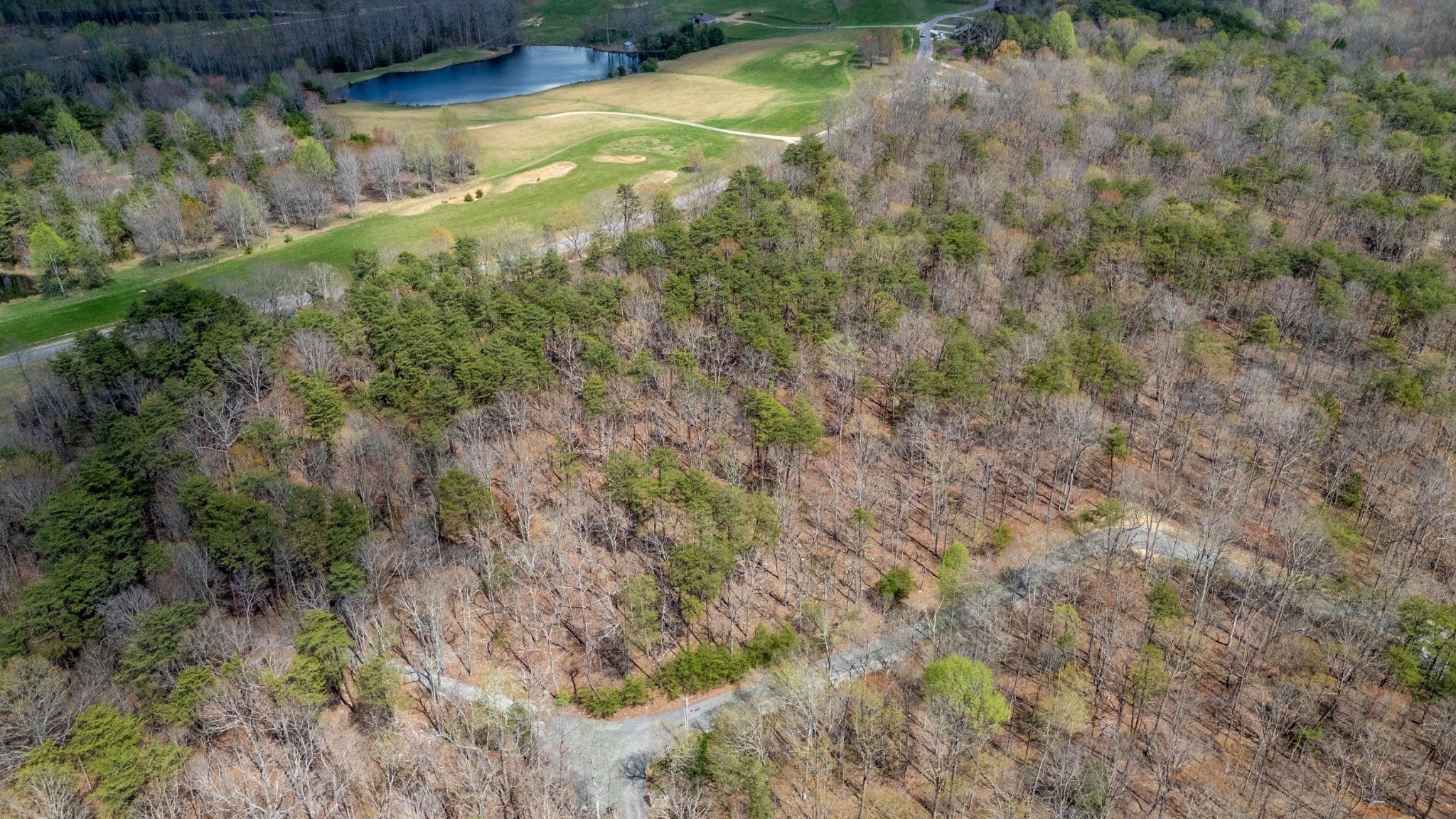 0 High Meadow Spencer, TN 38585 - Photo 16 of 17 a view of a yard with a tree