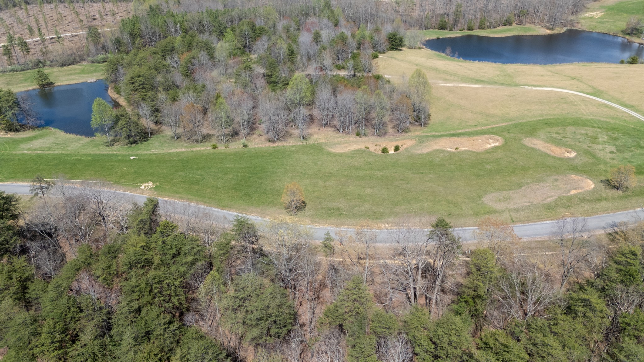 0 High Meadow Spencer, TN 38585 - Photo 17 of 17 a view of a yard with large trees