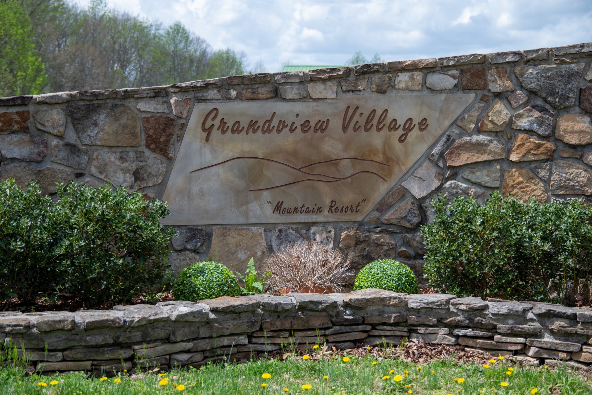 0 High Meadow Spencer, TN 38585 - Photo 9 of 17 a outdoor space with lots of trees