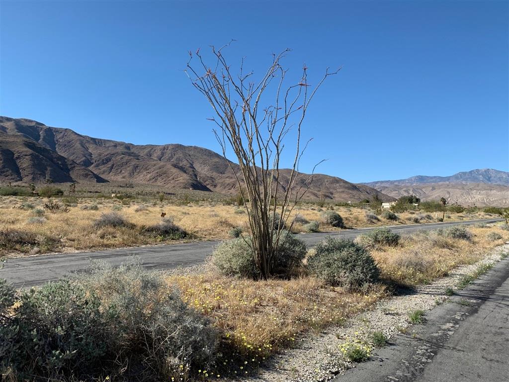 59 Indian Head Ranch Road Borrego Springs, CA 92004 - Photo 3 of 7 a view of a dry yard with mountains in the background
