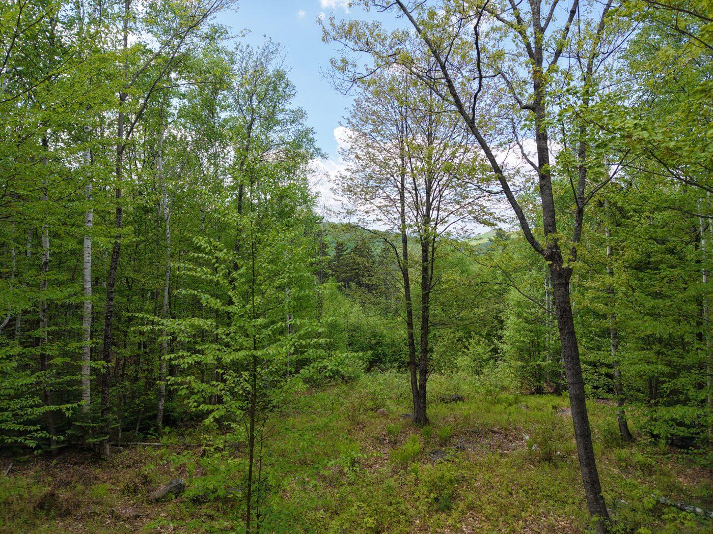 21 Jewett Way Hanover, ME 04237 - Photo 17 of 57 drone use 7