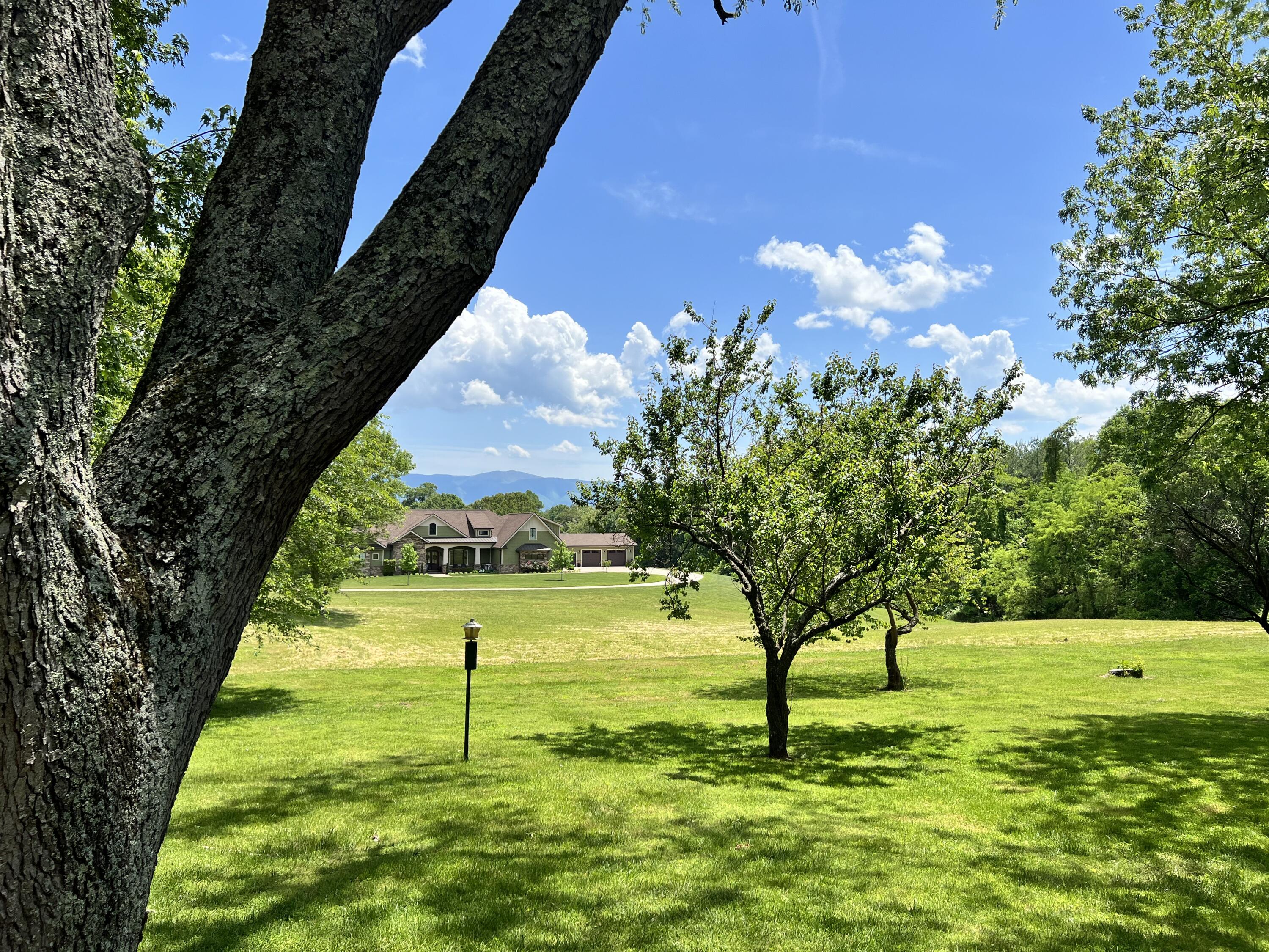 288 Holly Creek Road Greeneville, TN 37745 - Photo 54 of 57 IMG_3677