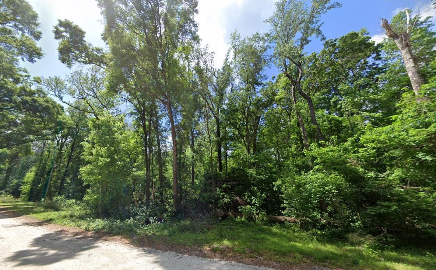 244 Southwest Delaware Way Fort White, FL 32038 - Photo 3 of 11