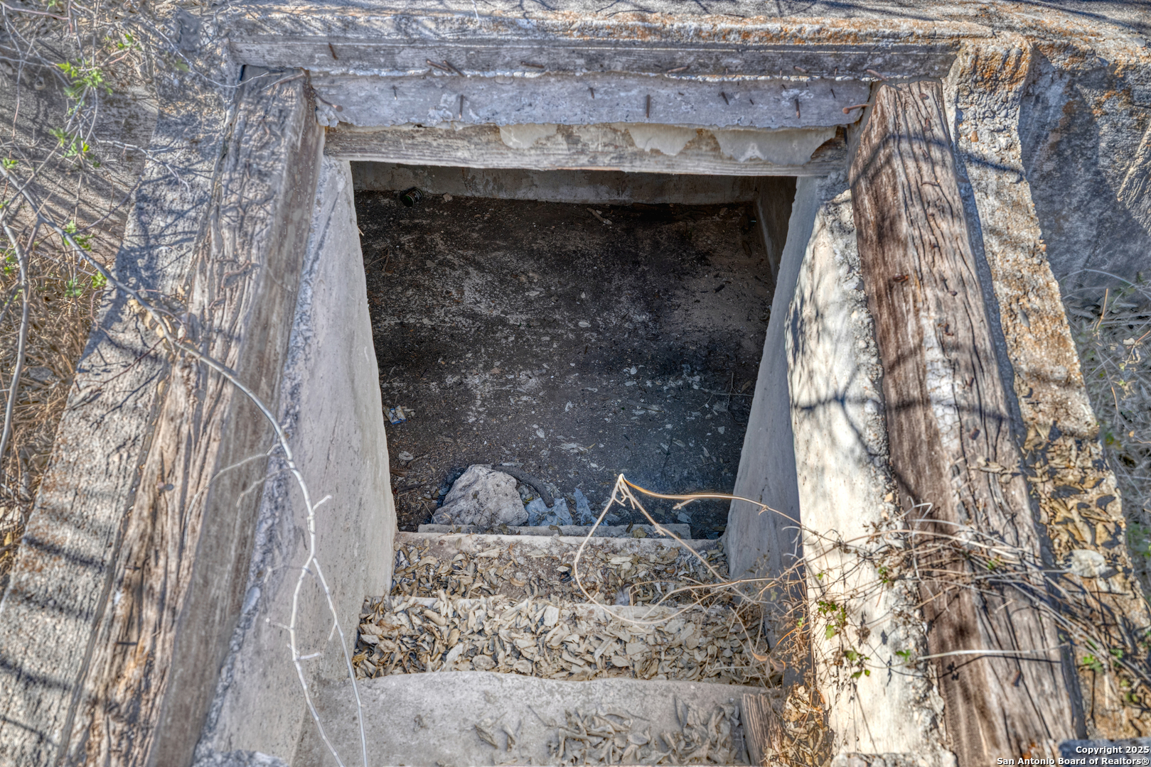 265 Prairie Street Uvalde, TX 78801 - Photo 6 of 13