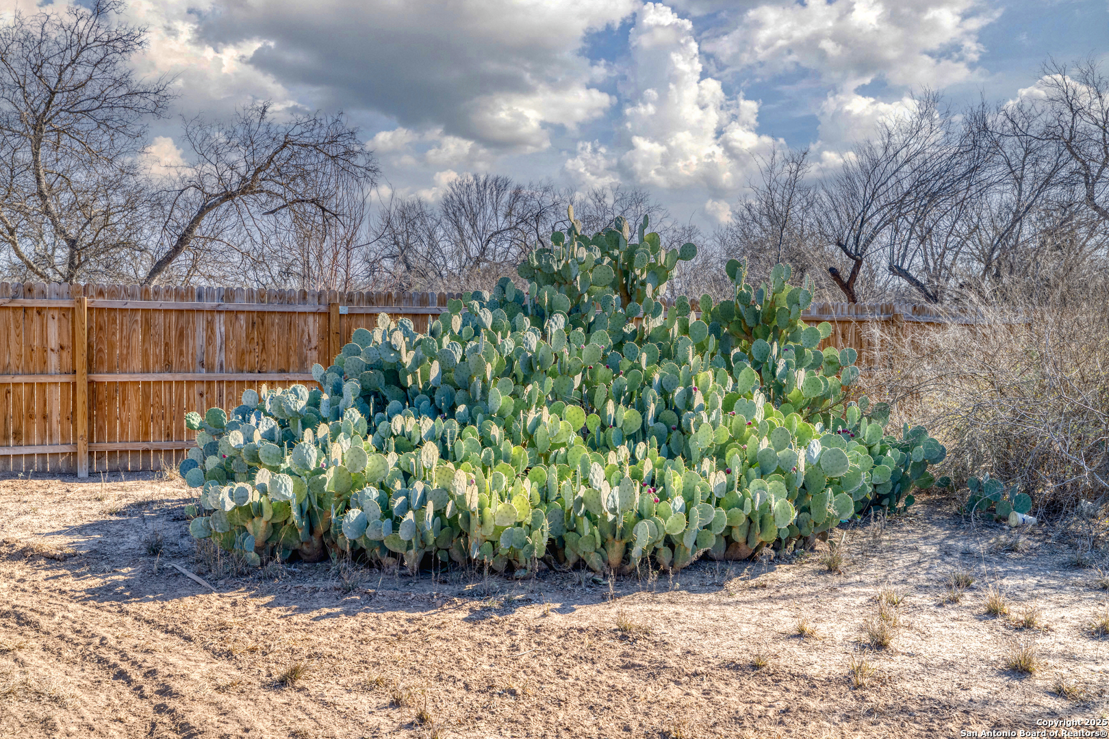 265 Prairie Street Uvalde, TX 78801 - Photo 8 of 13