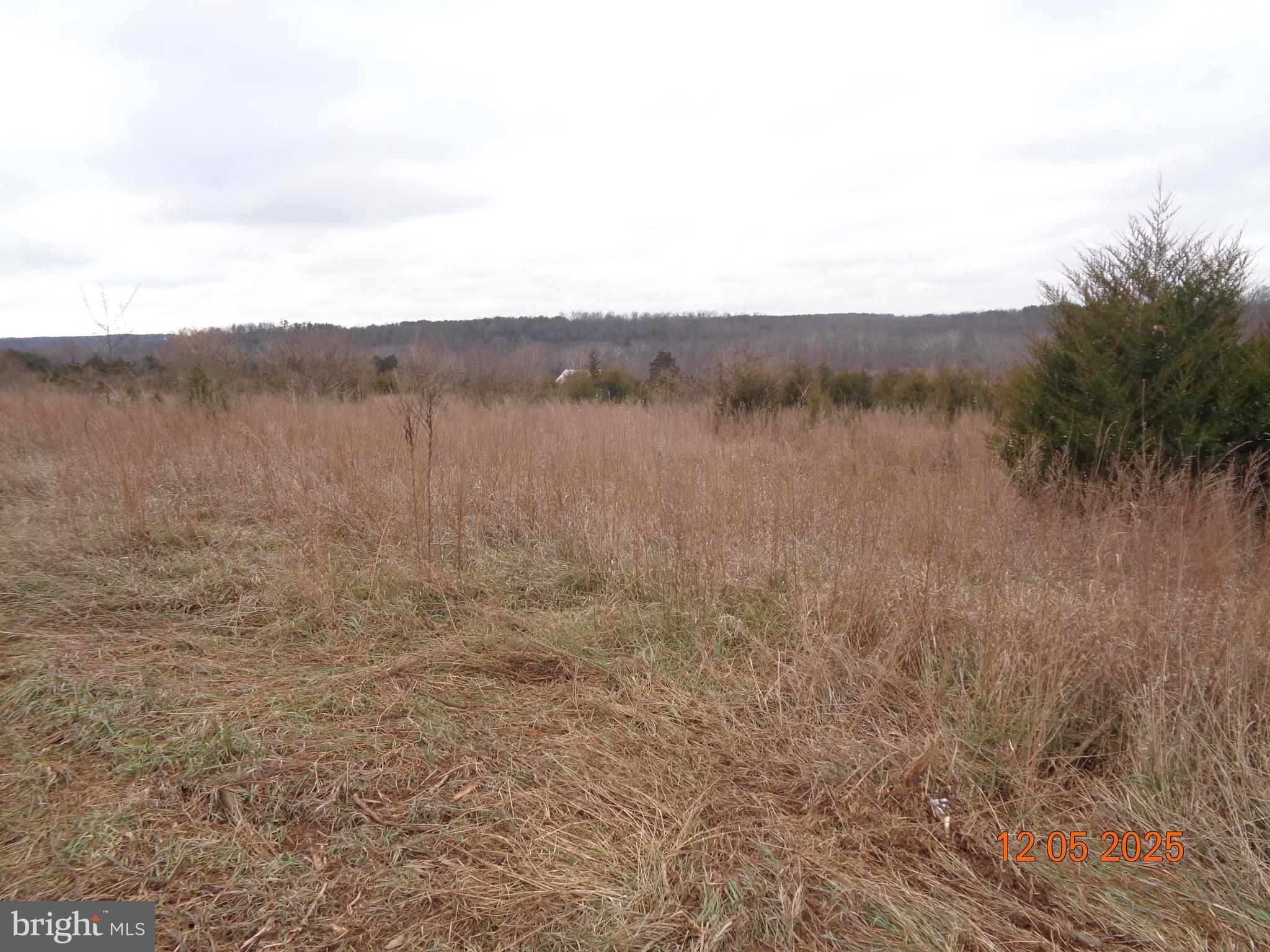Lot 3 Martin Payne Road Kearneysville, WV 25430 - Photo 2 of 4